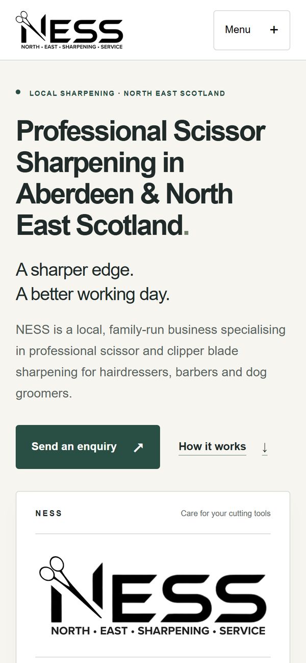 NESS website homepage on mobile